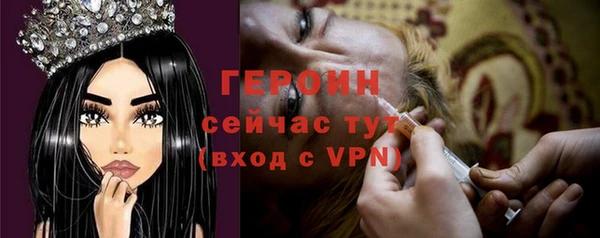 индика Горнозаводск