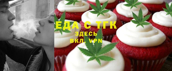 индика Гусиноозёрск