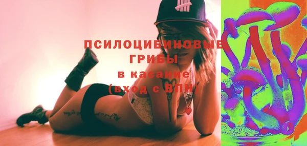 индика Горнозаводск
