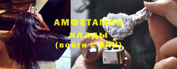 индика Горнозаводск