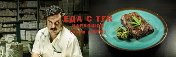 индика Горнозаводск