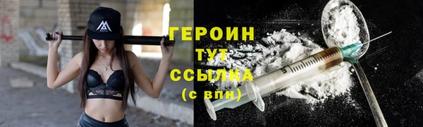 индика Горнозаводск
