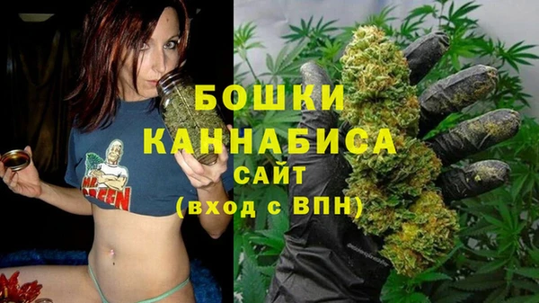 эйфоретик Горняк
