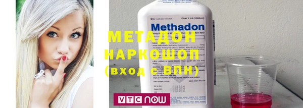 индика Горнозаводск