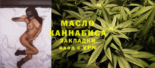 индика Горнозаводск