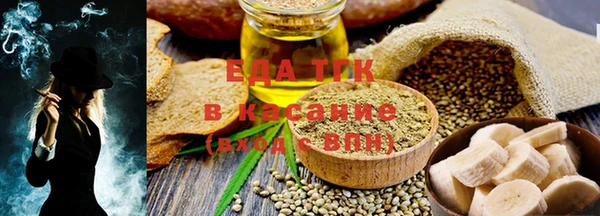 индика Горнозаводск
