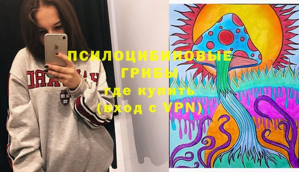 индика Горнозаводск