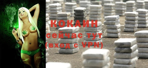 эйфоретик Горняк